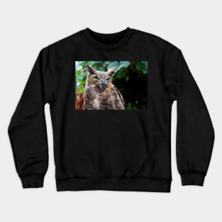 Great Horned Owl Crewneck Sweatshirt